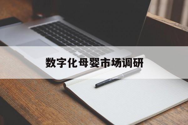 德令哈市数字化母婴市场调研(数字化母婴市场调研报告)